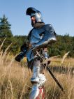 Gothic armor - Generation II medieval fighting SCA armor set