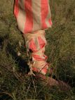 STRIPED NORMAN PANTS TROUSERS