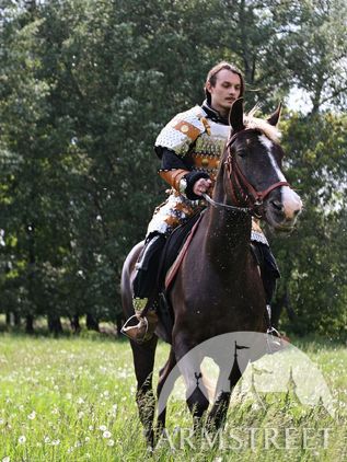 Lamellar Armor Exclusive Combat Suit