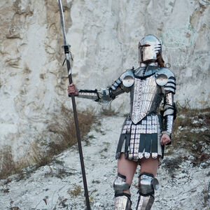 Full fantasy armor, helmet, arms and legs set
