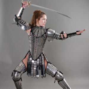 Full set  of  women Armor