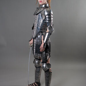 Lady-warrior functional armor 