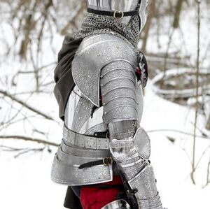 Fantasy Knight Armor Cuirass "Paladin"