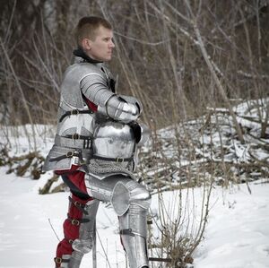 Medieval Knight Paladin Armour Breastplate