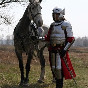 Hussar medieval armor - Polish hussar historically accurate armour set