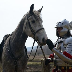 Hussar medieval armor - Polish hussar historically accurate armour set