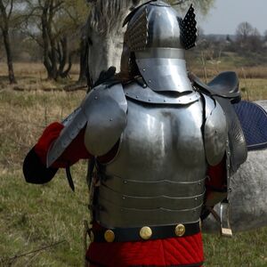 Hussar medieval armor - flexible backplate, wide pauldrons and winged helmet