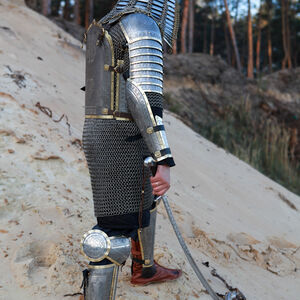  Functional armor kit cuirass, pauldrons, bazubands, greaves with cops "Prince of the East"