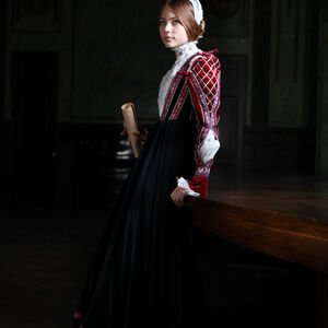 Renaissance Dress Costume