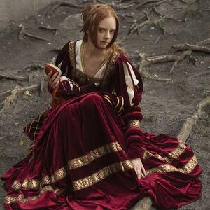Exclusive renaissance nobility velvet dress