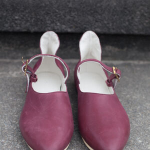 Medieval Princess Shoes