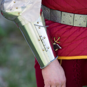 Errant Squire “Paladin” Enclosed Arm Harness and Pauldrons