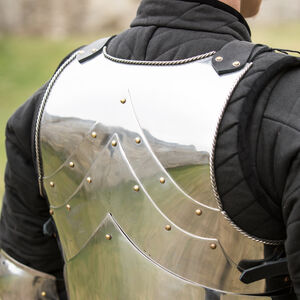 Back Protection of Articulated Cuirass “Paladin” by ArmStreet