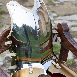  Cuirass with Tassets “Morning Star” female knight armor