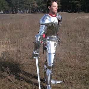 Full gothic knight armor suit - sallet, pauldrons, breastplate with backplate and tassets, finger-ga
