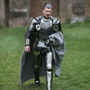 Medieval Knight Armor "Dark Wolf"