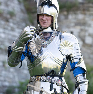 Gothic Knight Sallet Armor Helmet XV century