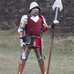 Functional Medieval Armour “Hound Of War”