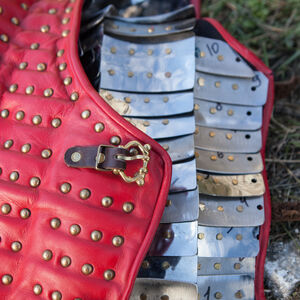 Hidden Stainless Plates of Brigandine Armor “Bird of Prey”