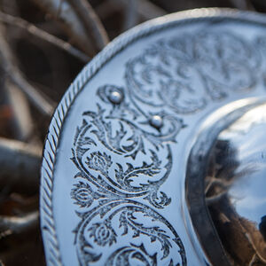 Buckler Stainless Etched Shield