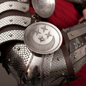 Medieval armor arms splinted full with etching