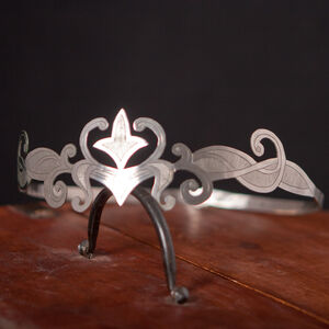 Medieval handmade titanium crown "Swan"