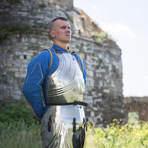 Medieval Knight Gothic Cuirass Armor