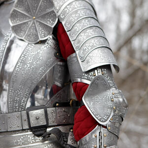 Stainless etched arms armor SCA Paladin