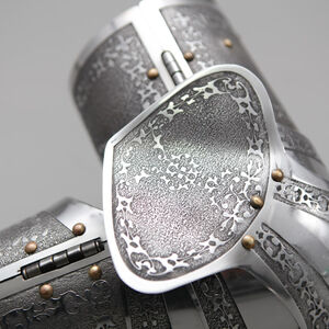 Stainless etched arms armor SCA Paladin