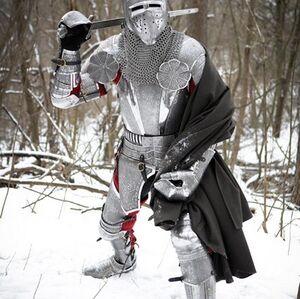 Cuirass Armor "Paladin" Medieval Suit