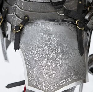 Stainless Etched Cuirass