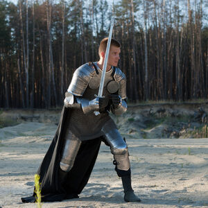 Paladin medieval armor for sale