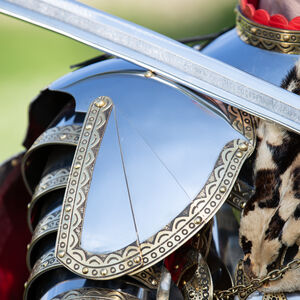 Polish Hussar stainless gorget and pauldrons