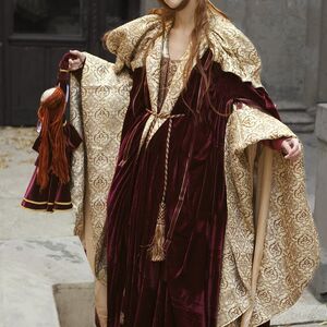 Exclusive costume renaissance velvet nobility cloak