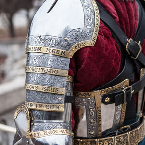 Western Knight's Pauldrons "The King's Guard" SCA