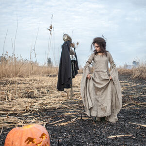 Halloween witch dress