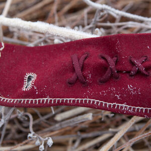 Woolen Embroidered Mittens "Lost Princess" Gloves